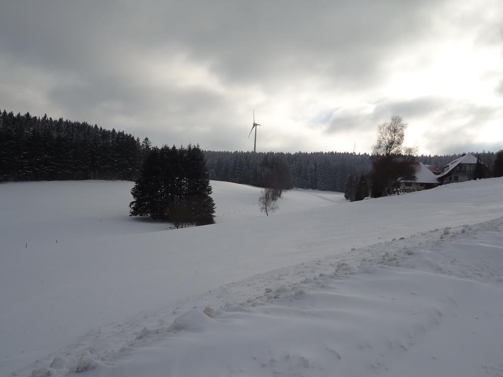 Berghotel Schiller Schonach im Schwarzwald Ngoại thất bức ảnh